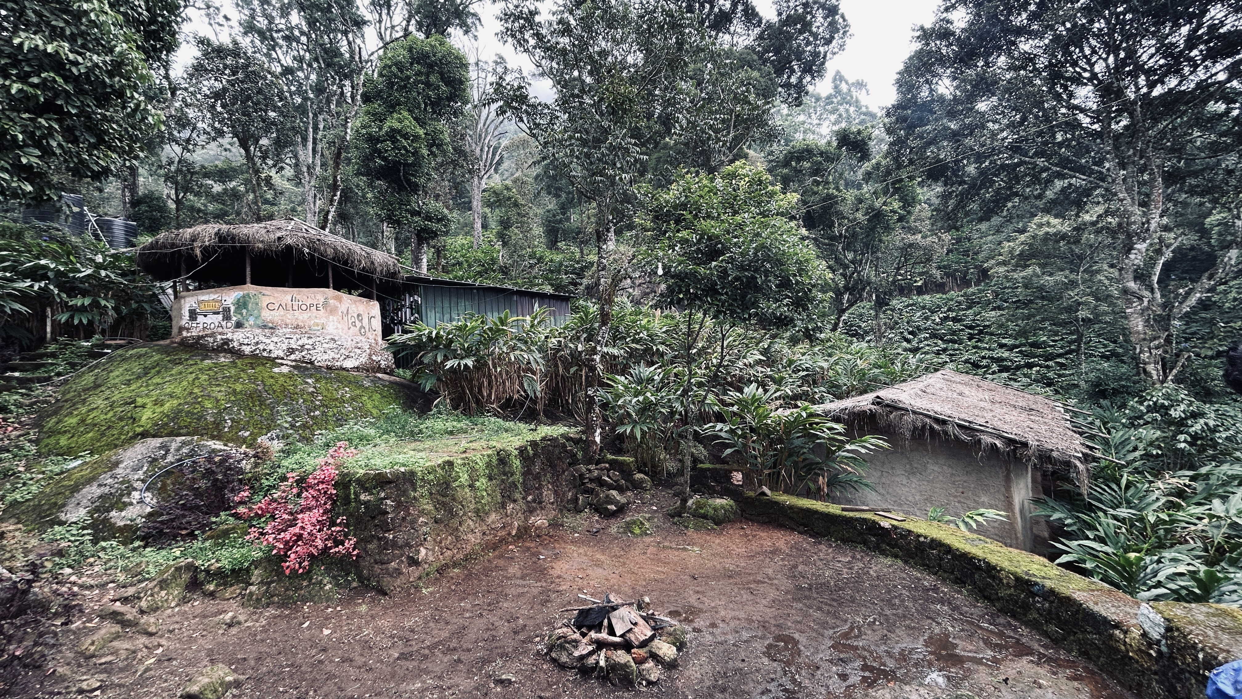 Green Peak Adventures in Munnar